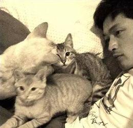 娱乐吃瓜猫张一张,揭秘娱乐圈背后的那些事儿