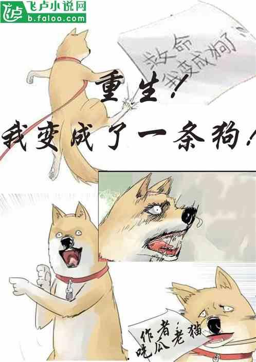 娱乐圈吃瓜小狗小说