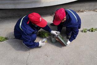 娱乐吃瓜酱灭鼠